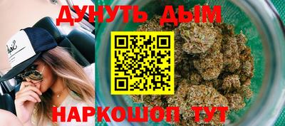 гидра Анжеро-Судженск