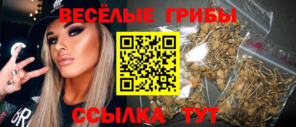 Ржев  Галлюциногенные грибы Psilocybine cubensis  Вход с VPN 